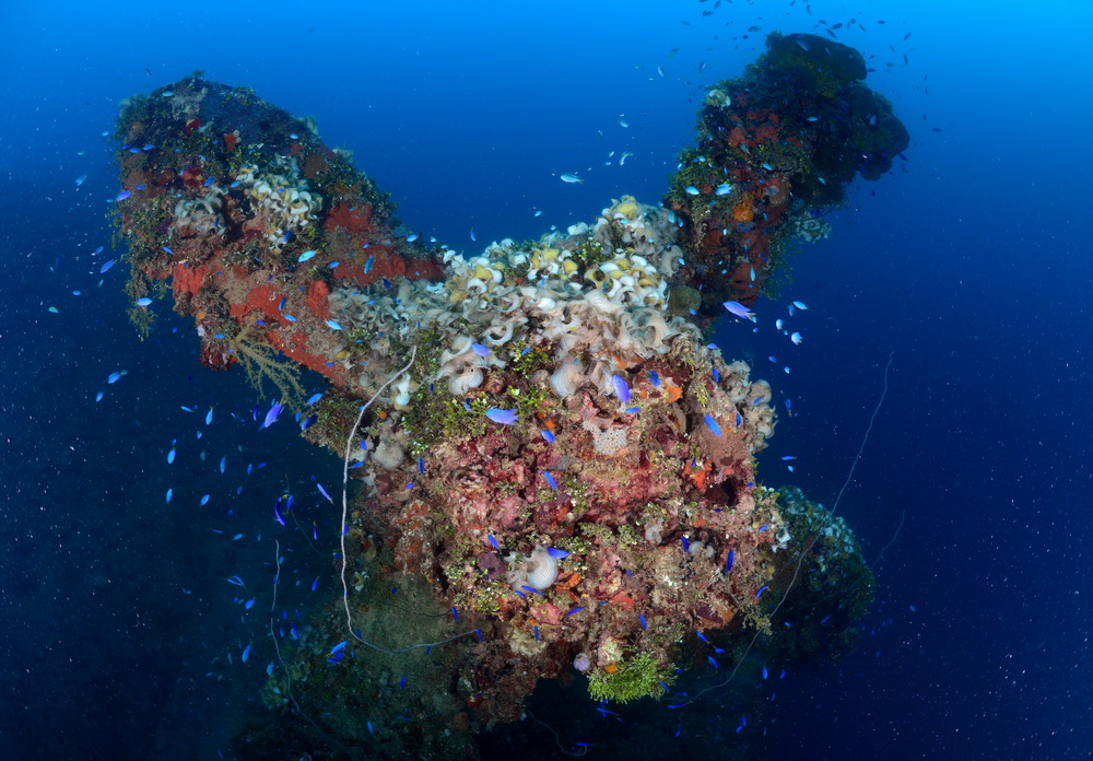 Schroef van de Heian Maru