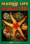 Marine life of the Maldives