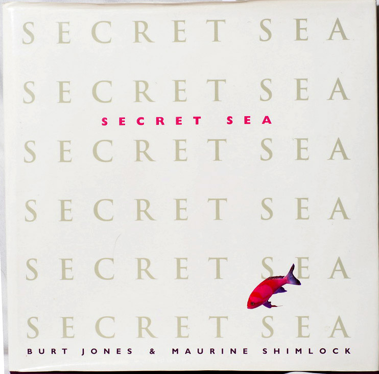 Secret Sea