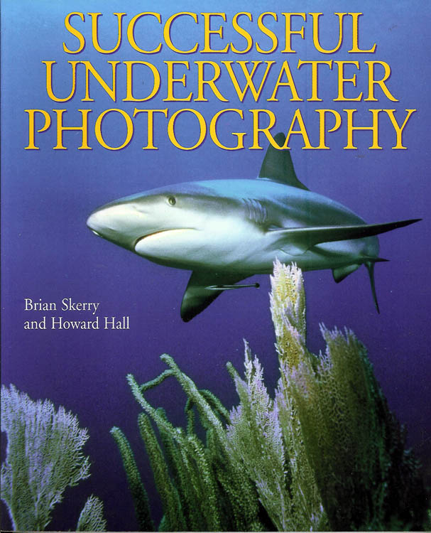 Successful underwater photography