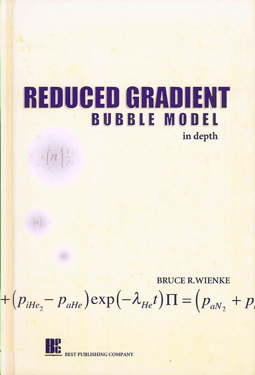 Reduced Gradient Bubble model in depth