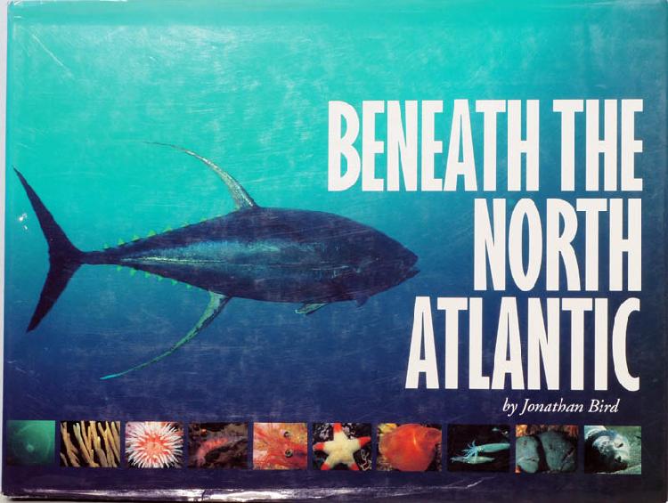 Beneath the North Atlantic