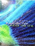 Rainbow Under the sea