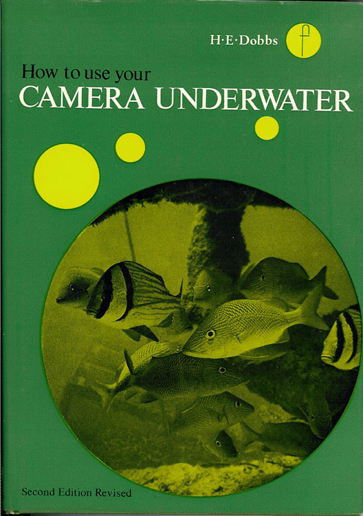 How to Use Your Camera Under Water a Practical Guide