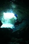 Duiker in Cenote