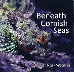 Beneath Cornish Seas