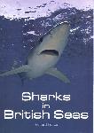 Sharks in British Seas