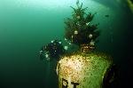 kerstboom op het onderwaterhuis