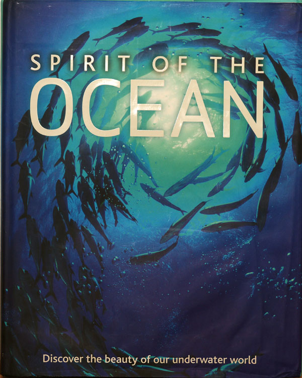 Spirit of the Ocean