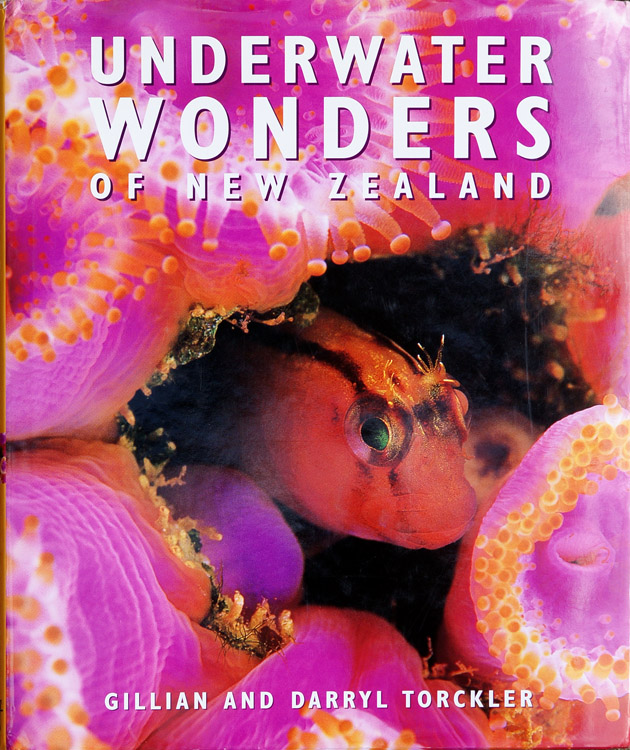 Underwater Wonders of New Zealand