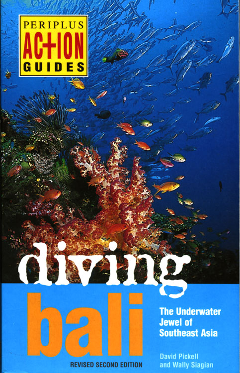 Diving Bali