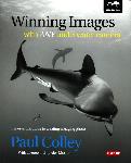 Winning Images with Any Underwater Camera