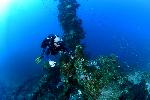 Bert boven de Hoki Maru