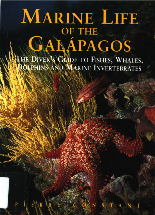 Marine Life of the Galapagos