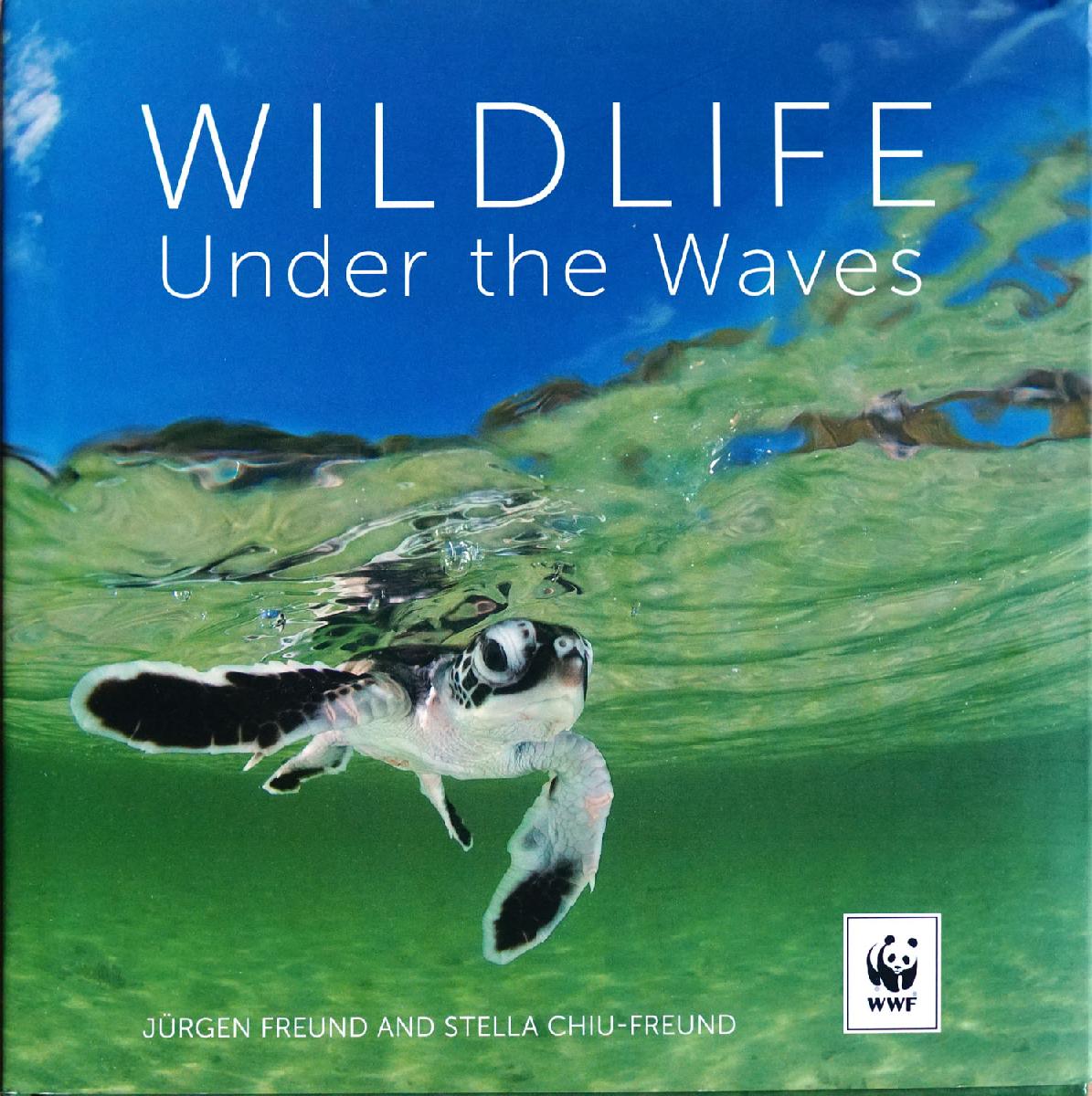 Wildlife under the waves