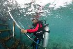 bas doet oefeningen voor discover scuba diving