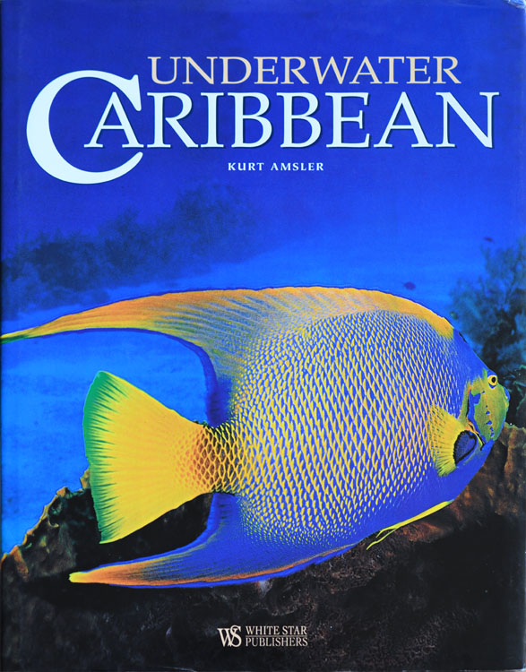 Underwater Caribbean