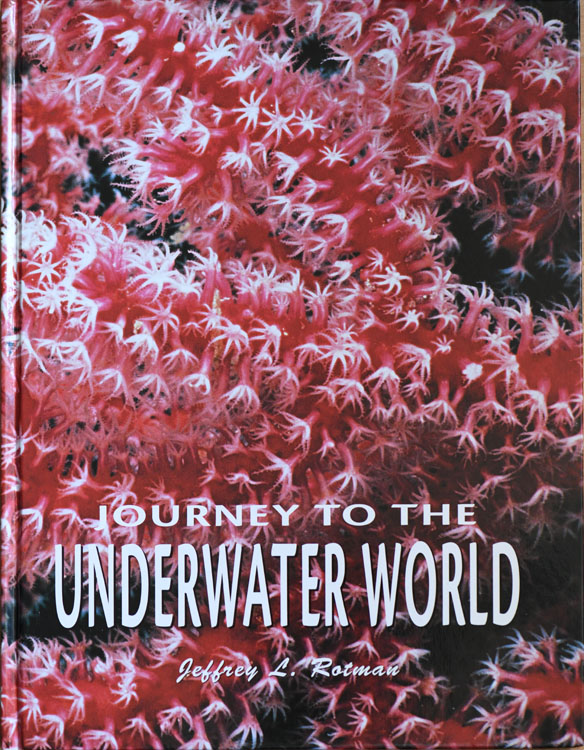 Journey to the underwater world