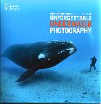 Wildlife Photographer of the Year: Unforgettable Underwater Photography
