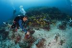 naast het manta cleaning station