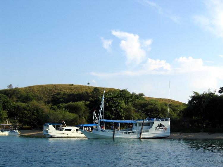 The Reefseekers Boat