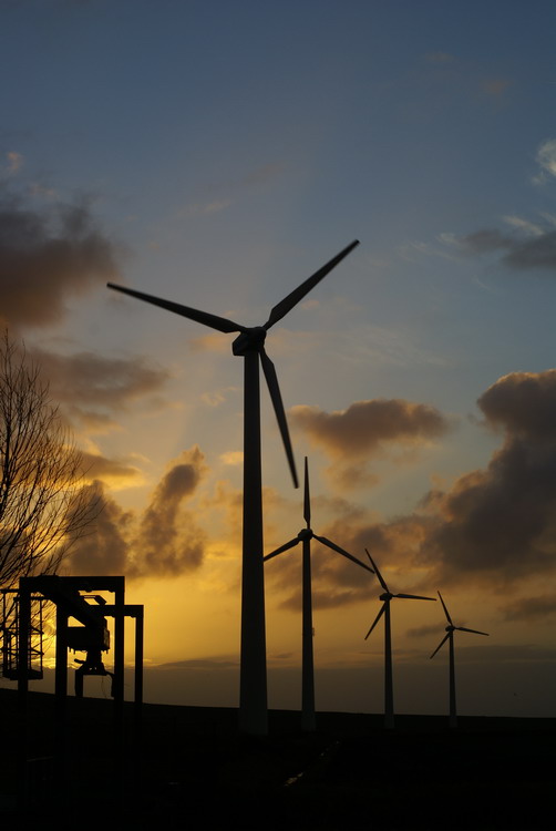 Windmolens bij het gemaal