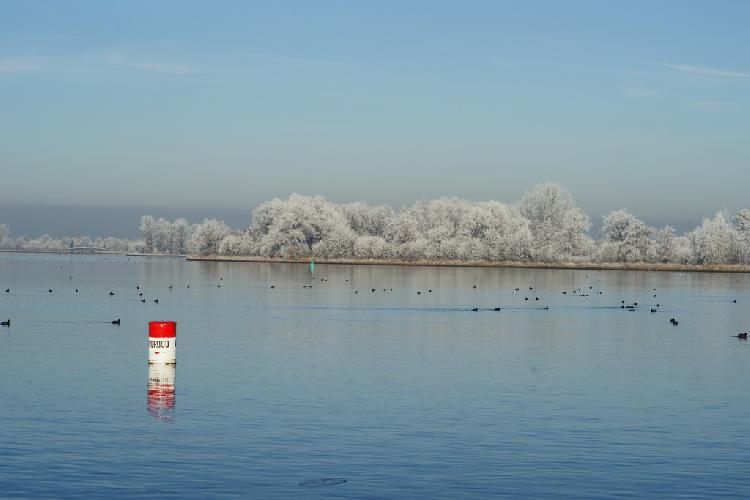 Boei van duikgebied bij eiland 4