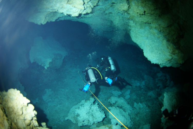 Duiker in de chac mool cenote