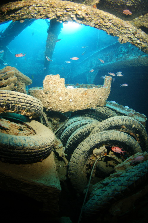 In het ruim van de Thistlegorm