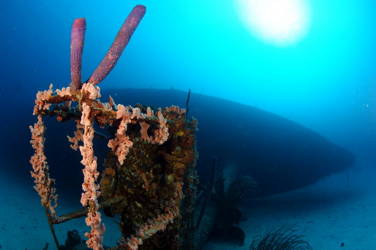 Mast van de Hilma Hooker