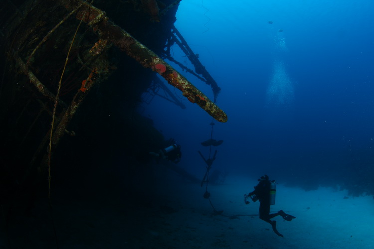 Duiker naast de hilma hooker