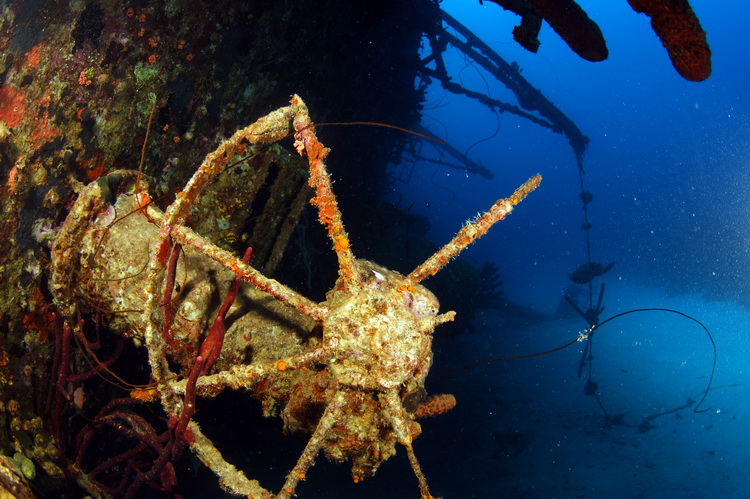 Stuurwiel van de Hilma Hooker