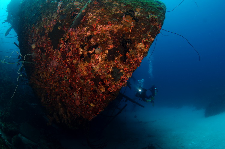 Duiker naast de hilma hooker