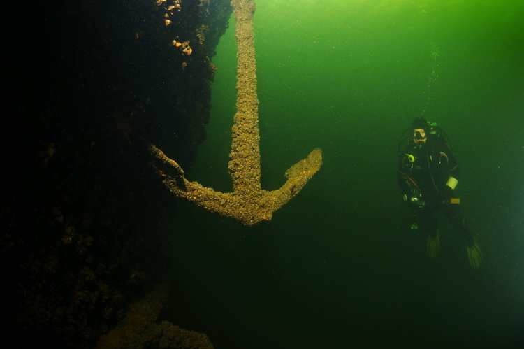 Anker van het wrak in de grote hegge