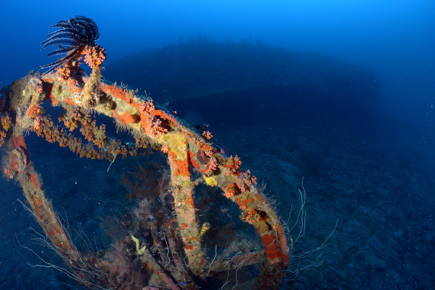 Kraaiennest van de windjammer