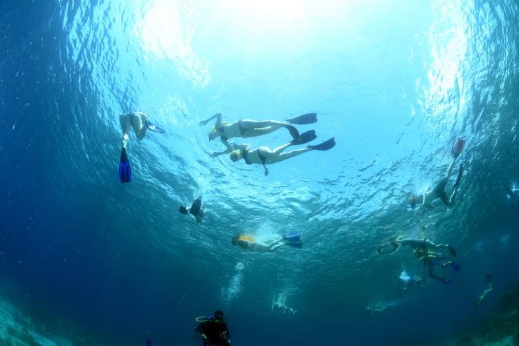 Snorkelaars boven ons