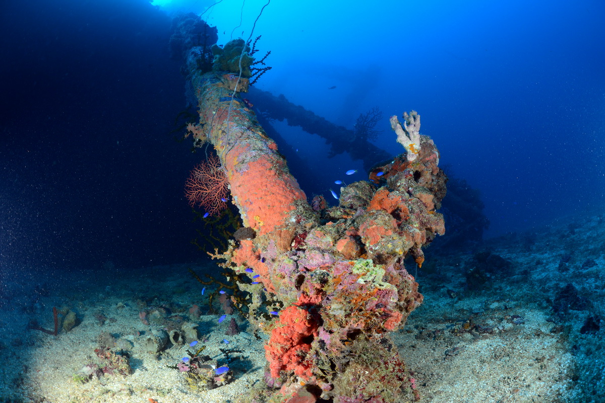 mast van de Nippo Maru