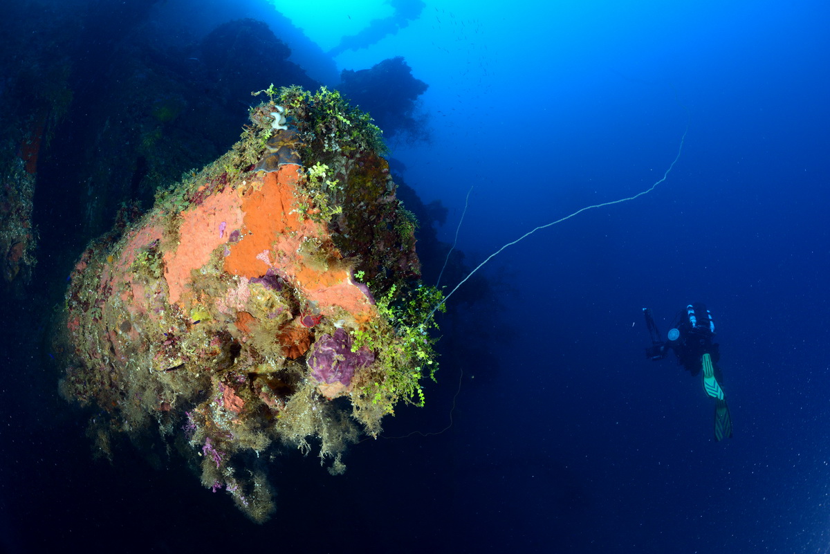 Momokawa maru