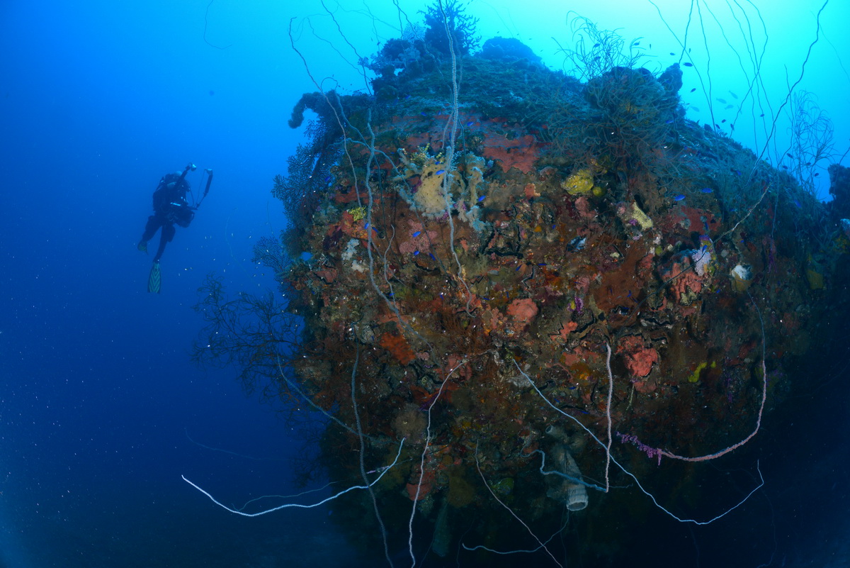 Momokawa maru