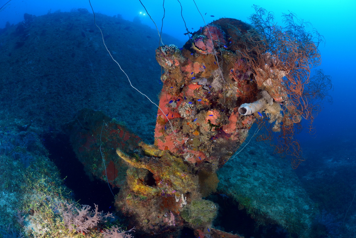 Schroef van de Momokawa maru