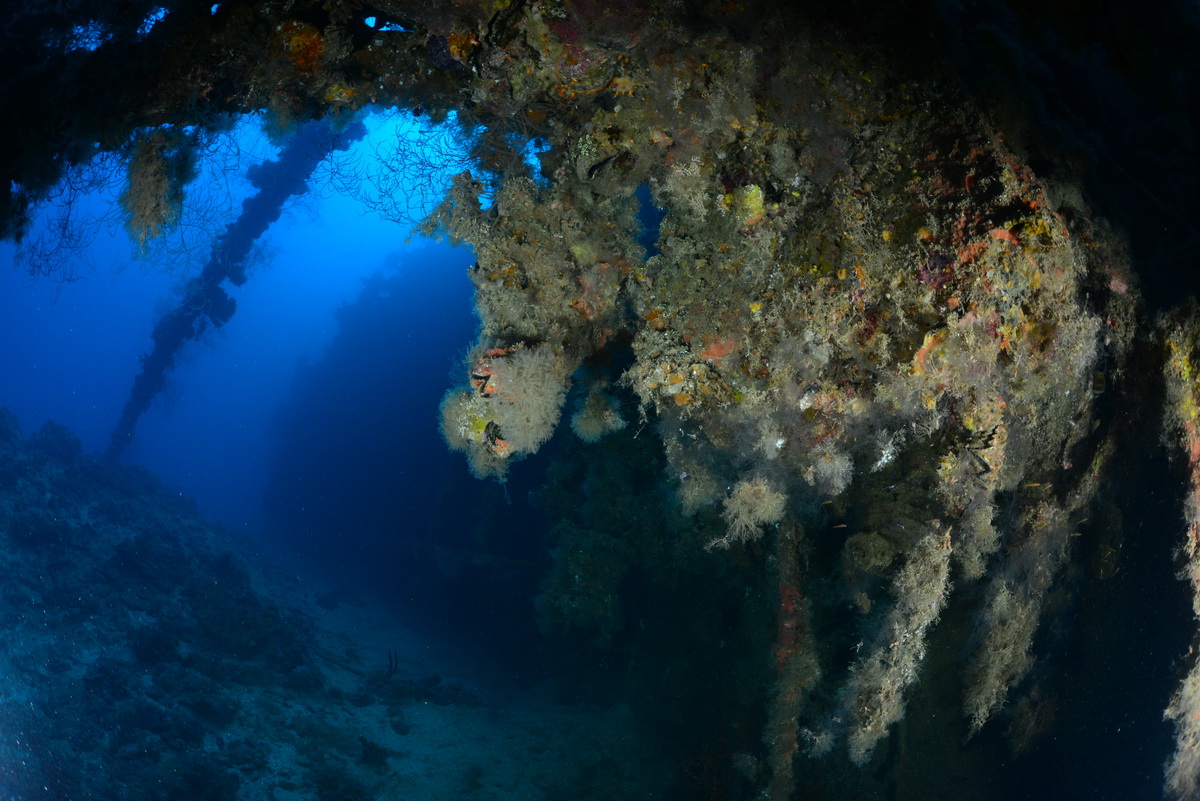 Vanuit het ruim van de Momokawa maru