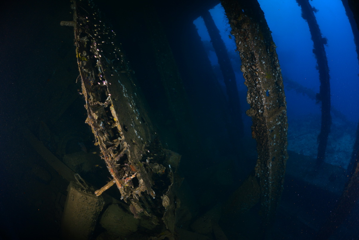 Vanuit het ruim van de Momokawa maru