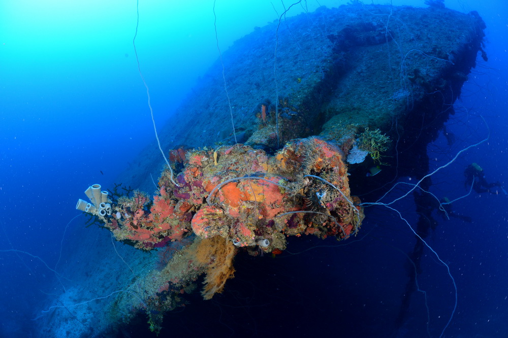 Fujisan maru