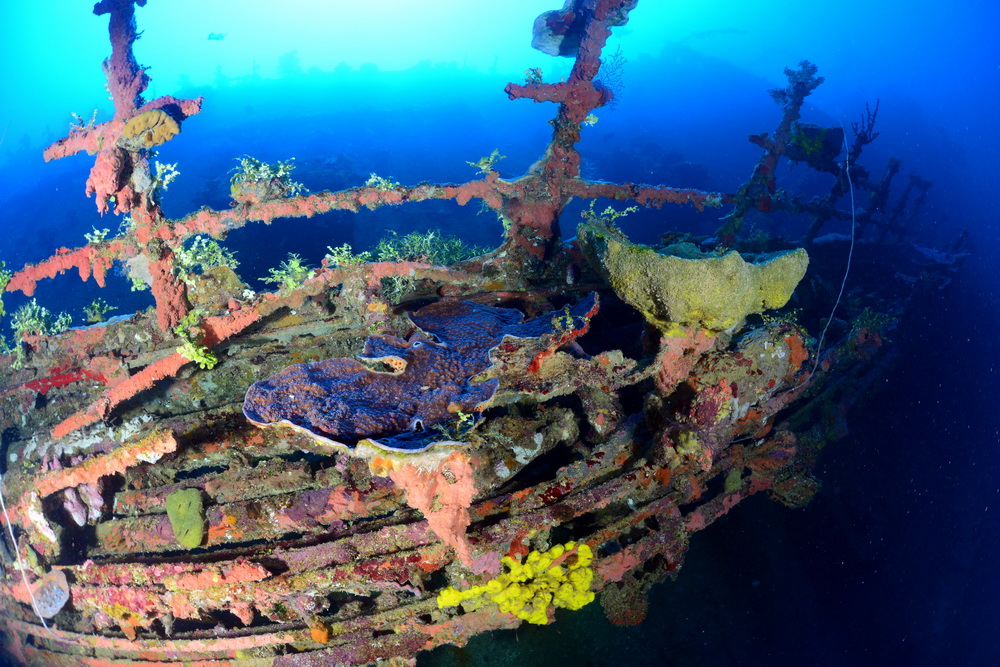 Fujisan maru