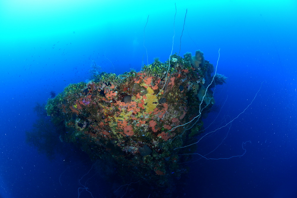 Boeg van de Seiko Maru