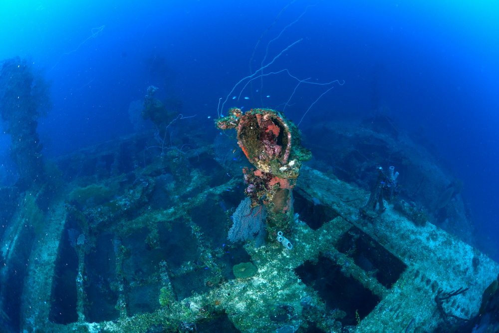 Seiko Maru