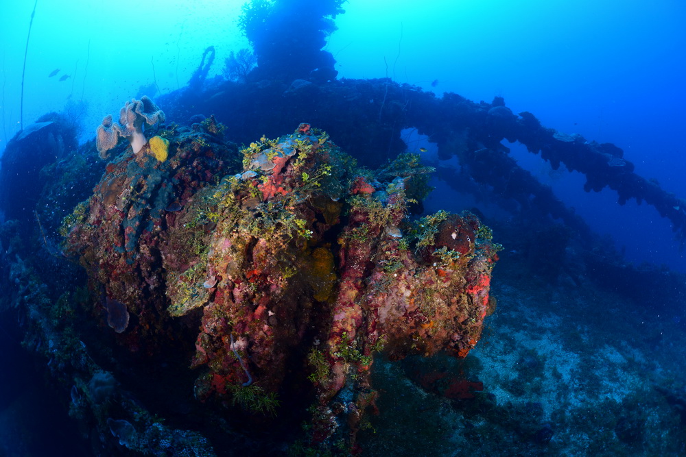 Hoki Maru