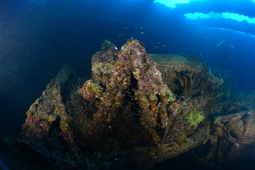 Bulldozer in het ruim van de Hoki Maru