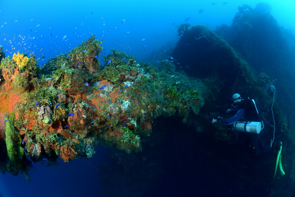 Hoki Maru