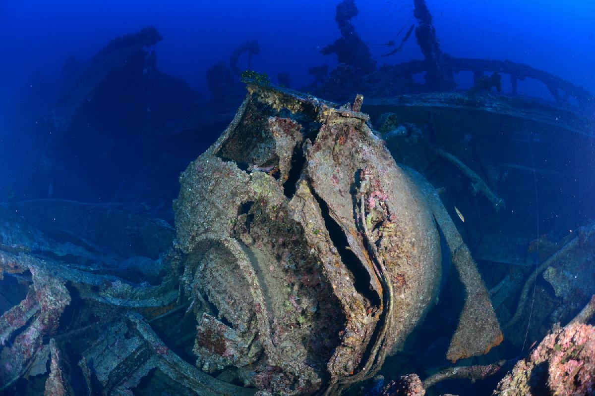 boiler van de Polynesien